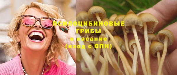 MDMA Заводоуковск