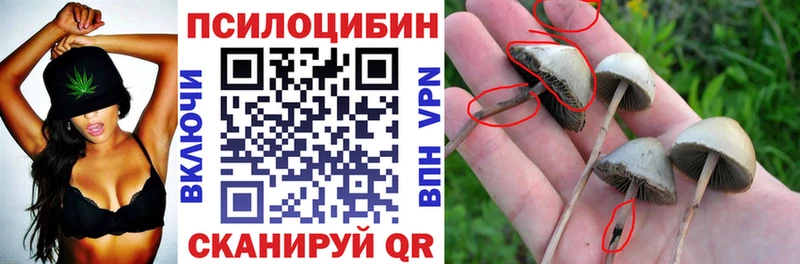Галлюциногенные грибы Cubensis  Купить закладки  Ипатово 